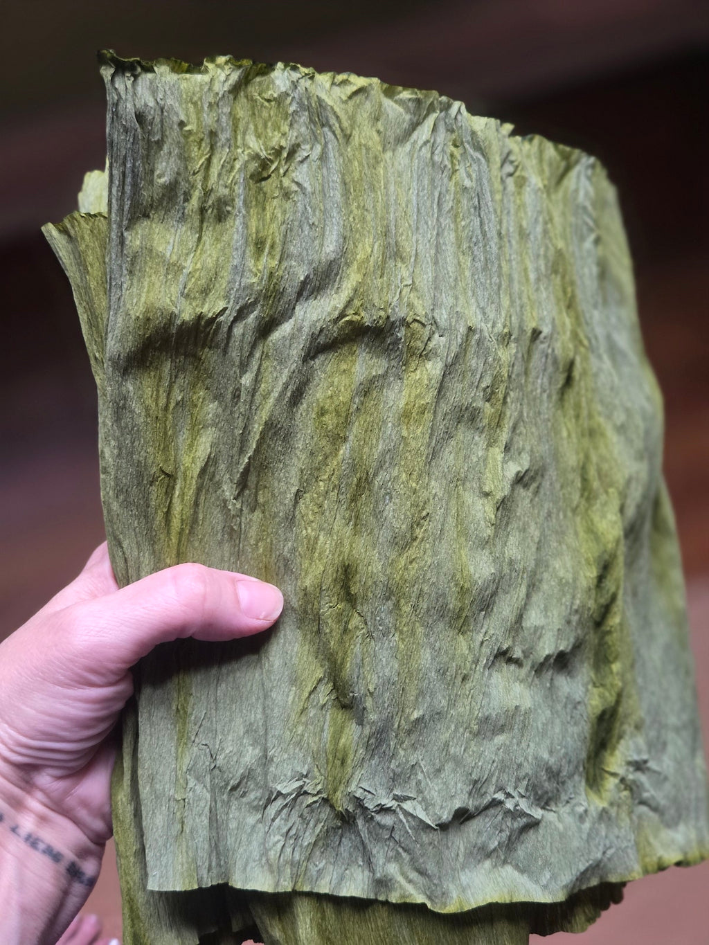 Forest Moss