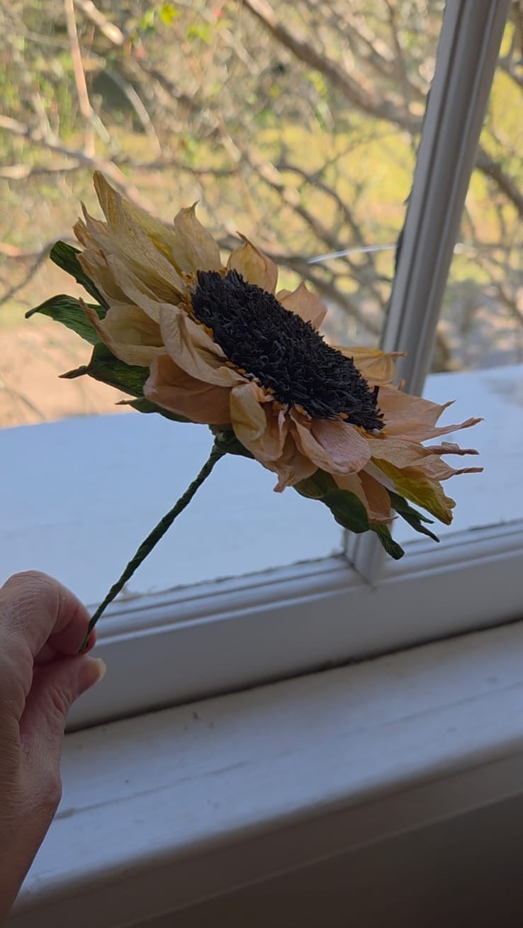 Sunflower Pattern