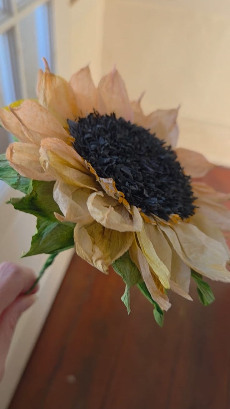 Sunflower Pattern
