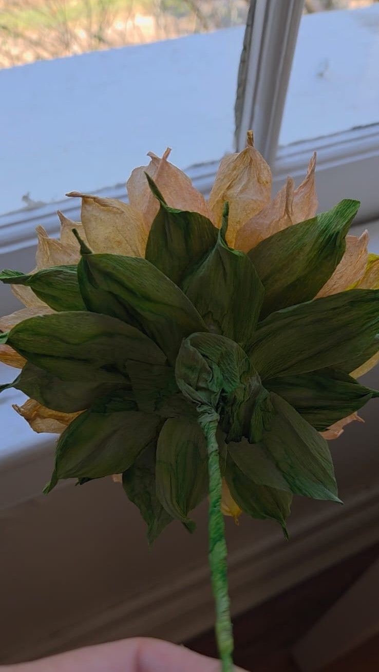 Sunflower Pattern