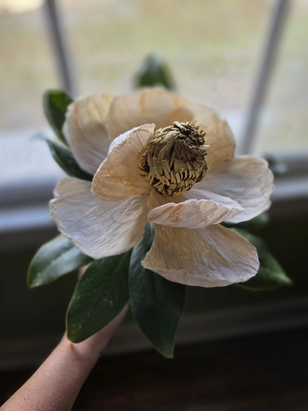Winter Magnolia Pattern