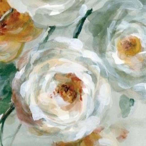 Pale Lenora Kit – Hybrid Tea Rose