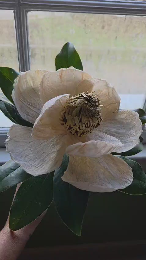 Winter Magnolia Pattern